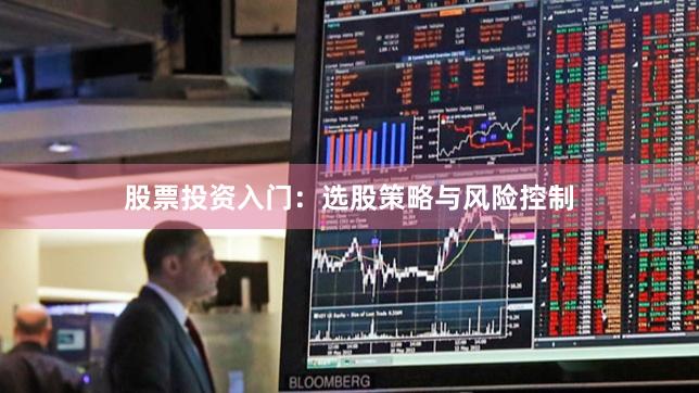 股票投资入门：选股策略与风险控制